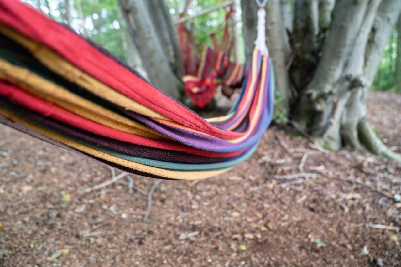 Gite Calypso de 14 personnes Fécamp Etretat Colleville Exterior foto